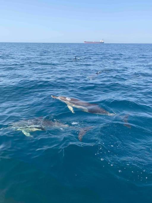 Alto Das Vinhas Lovers - Sesimbra Esterno foto